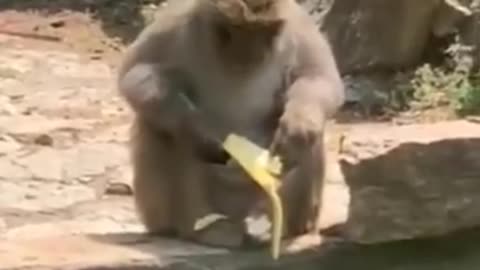 😂😂😂😂😂😂😂😂😂😂😂😂😂😂😂