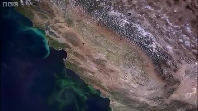 Army of Sea Urchins? | Planet Earth | BBC Earth