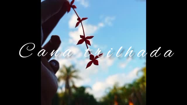 The most beautiful images, with simple photos, with a beautiful song To meditate.