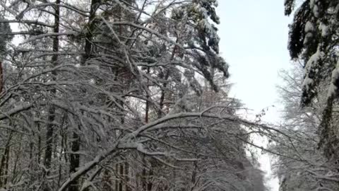 Images of winter from Poland,Stopnica and Wolica