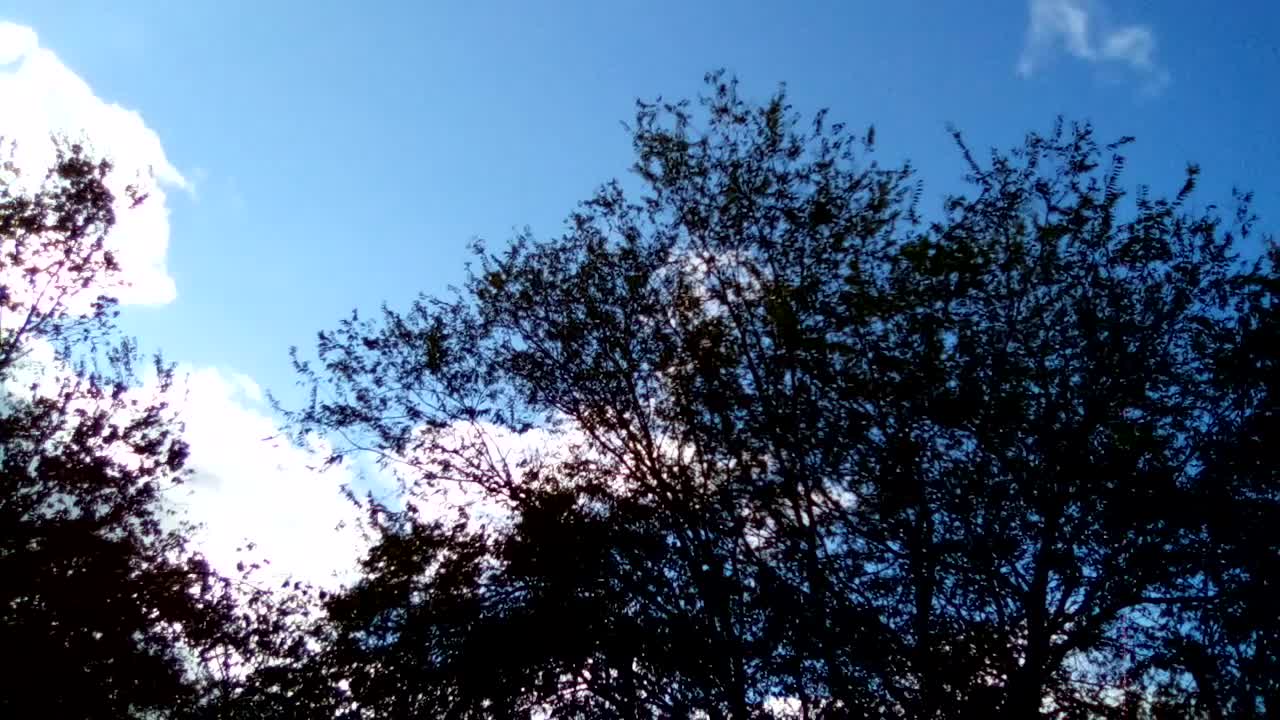 BLU View 1 camera is a joke! Defective?