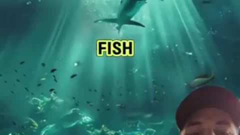New Deepest Part Of The Ocean