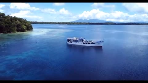 Beach Stock Footage Drone Nature Beautyfull