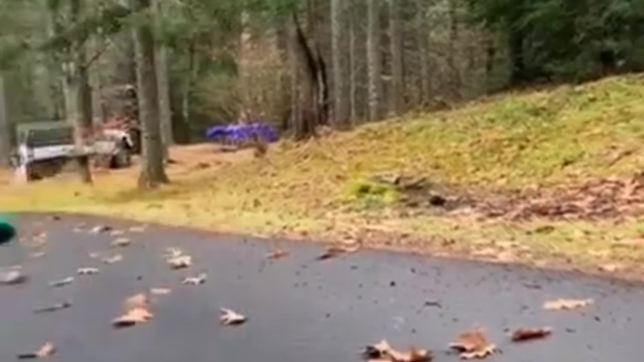 Try not to laugh