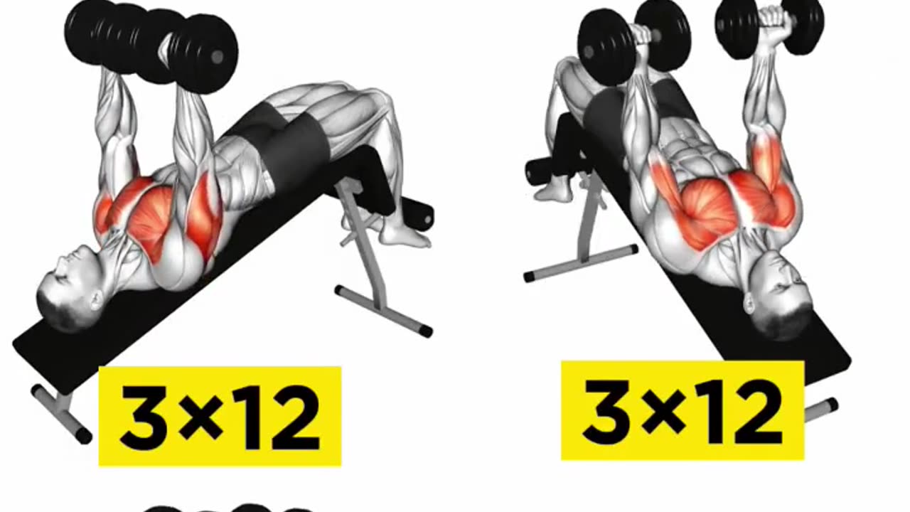 Chest workout Dumbbell exercise at Gym or home #dumbbell #exercise #workout #chest #shortvideo