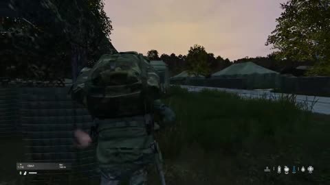 Dayz