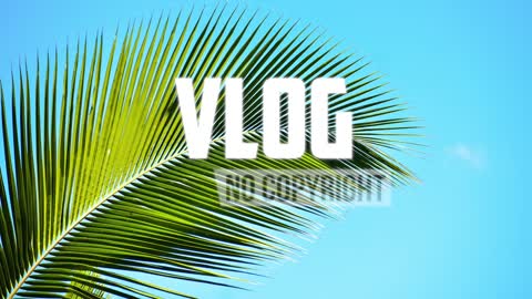 LiWDYD & luke begrs - topical fever ( vlog no copyright music)