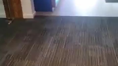 An Irish Bank Experience