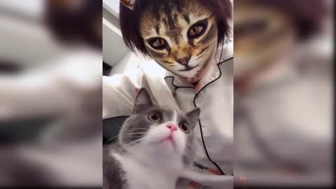 How Cats React When Seeing Stranger 1st Time - Running or Being Friendly 11? | Viral Cat