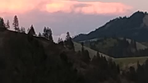 Beautiful clouds and flowers