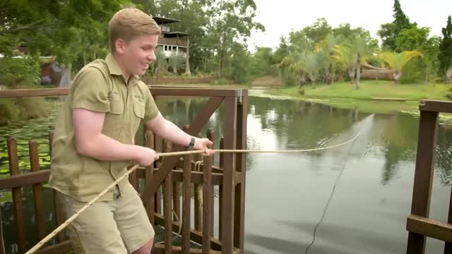 Robert Irwin virtual tour of Austrialia Zoo