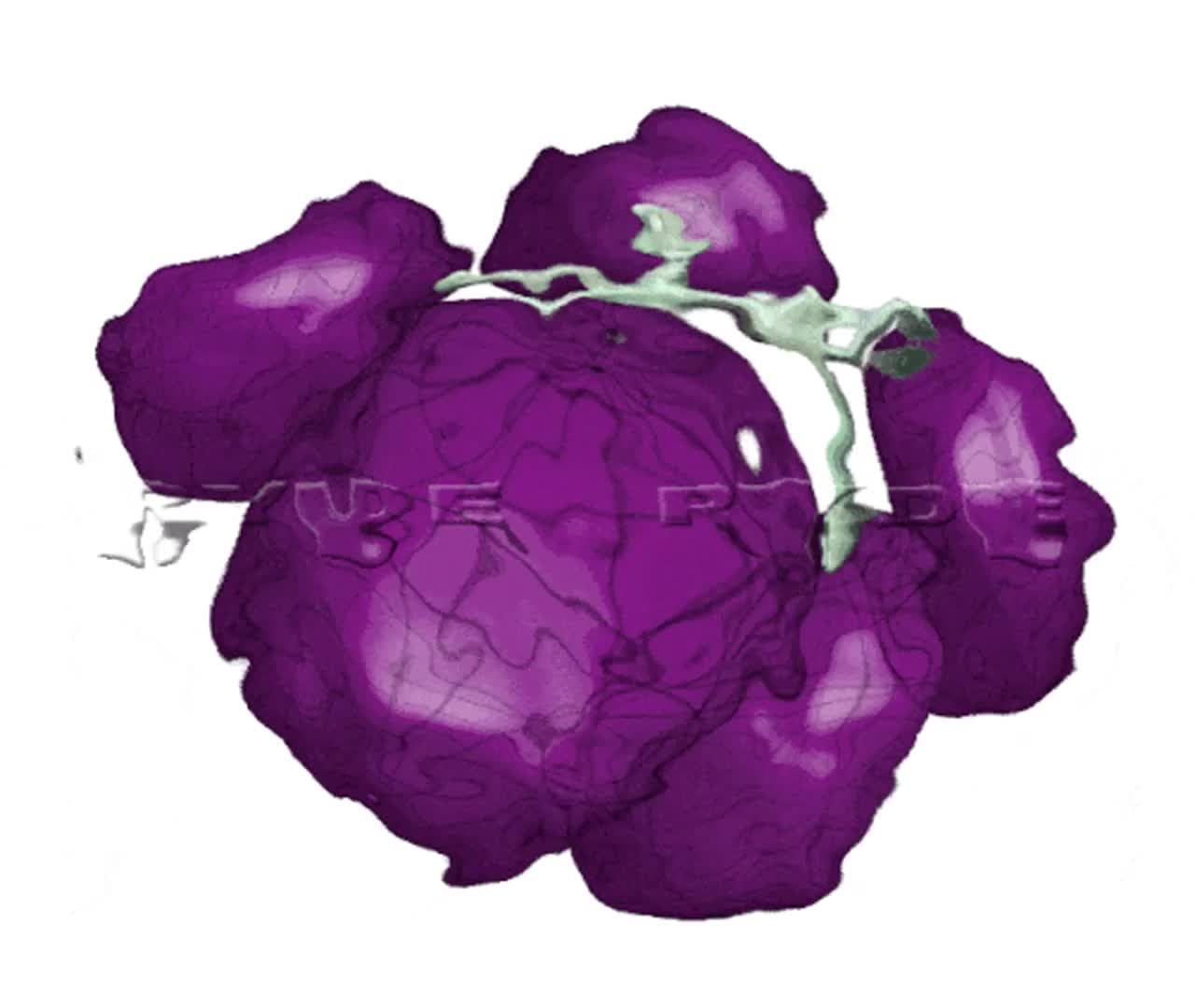RYDE IMAGING VIDEO MICROENCODING