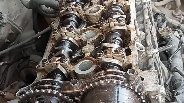 Coupling of car engine.