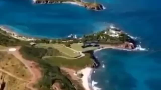 ALGUNAS DE LAS PINTURITAS ASISTENTES A LA ISLA DE LAS LOLITAS