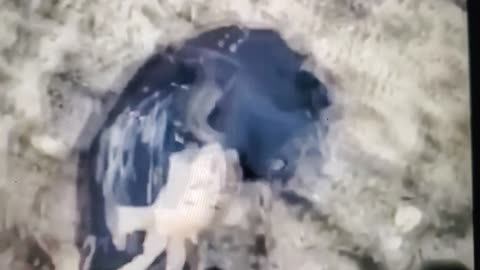BLACK GOO pt1