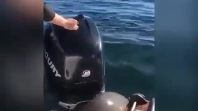 Don't shove him off, that guy deserves to live
