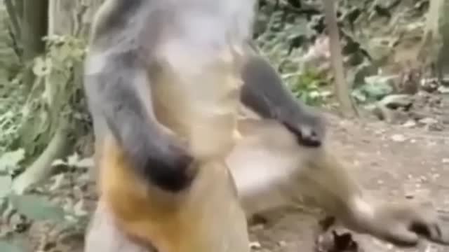 yoga time