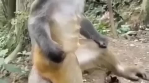 yoga time