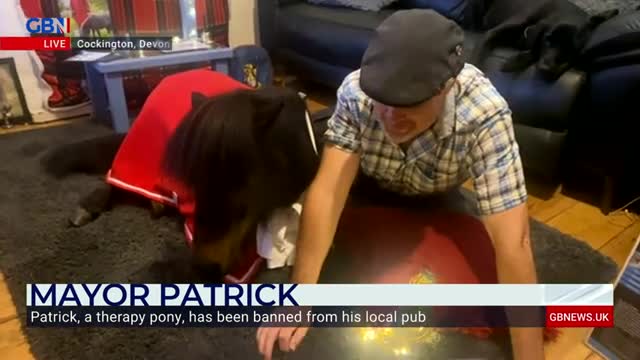 A therapy pony has been banned from his local pub due to planning restrictions