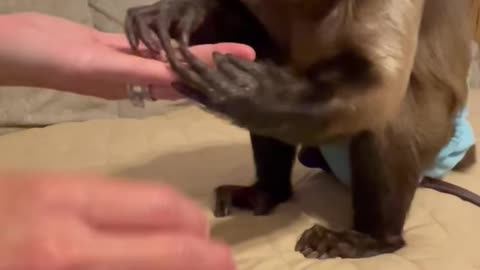 SLUG!!