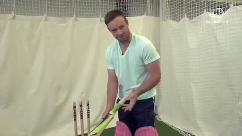 Ab de villiers batting tips