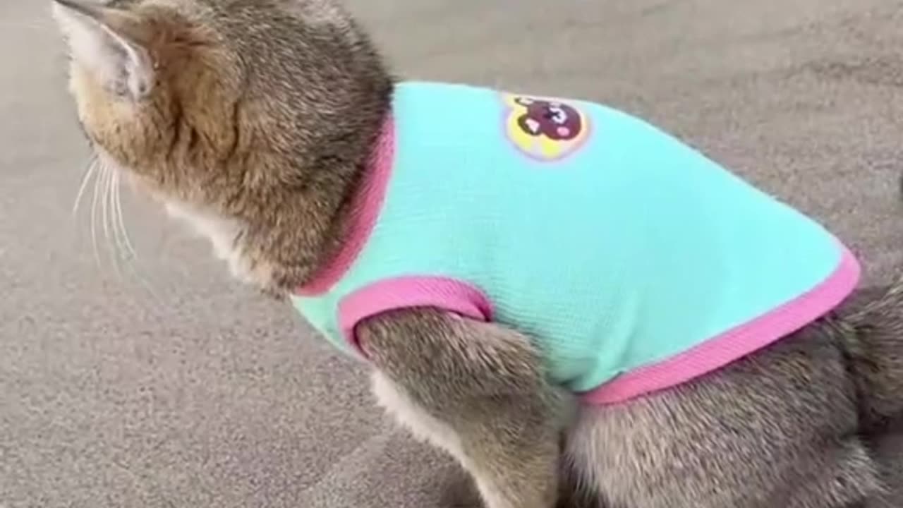 Cuando exagero comprado su arenero jajaja