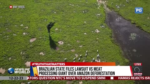 Brazilian state files lawsuit vs meat processing giant over Amazon deforestation