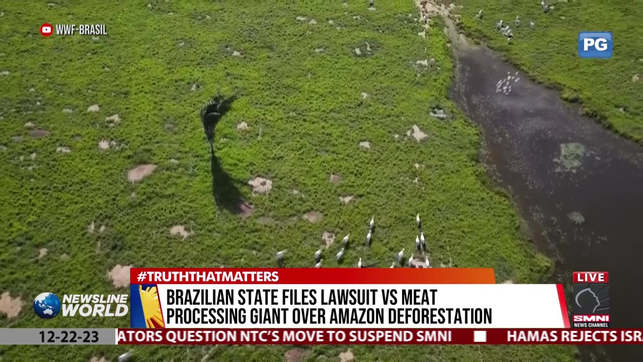 Brazilian state files lawsuit vs meat processing giant over Amazon deforestation