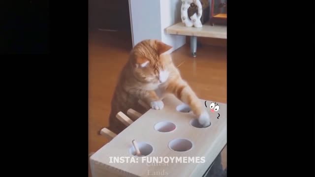 Cute And Funny Pets Try Not To Laugh To These Pets Compilation 7 Cutest Lands part 1