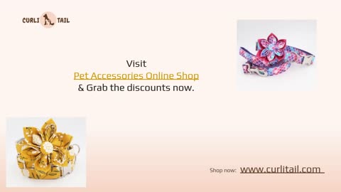 Online Pet Accessories Store - Free Engraving | CurliTail