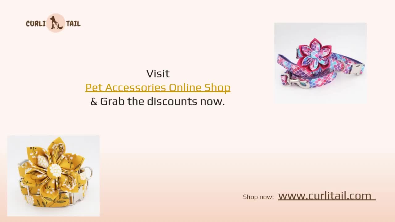 Online Pet Accessories Store - Free Engraving | CurliTail