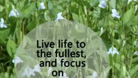 Gain self improvement by listening to these stoic quotes that are best for personal development