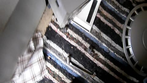 Inne i ödehuset i Häljalt 6 April 2014