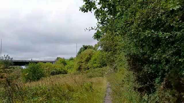 Chemtrailing - Hey ho, you can say you tried.