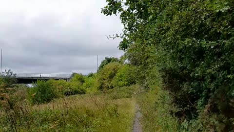 Chemtrailing - Hey ho, you can say you tried.