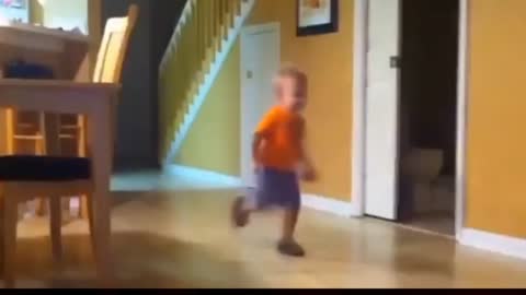 Funny cat funny clips funny video