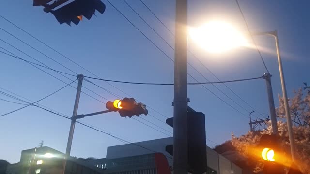 a shimmering traffic light in the dark spring