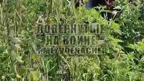 Ruští vojáci zničili Dárek pro Putina český raketomet RM-70