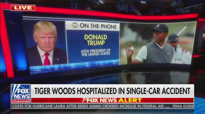 Fox News Donald Trump on Tiger Woods