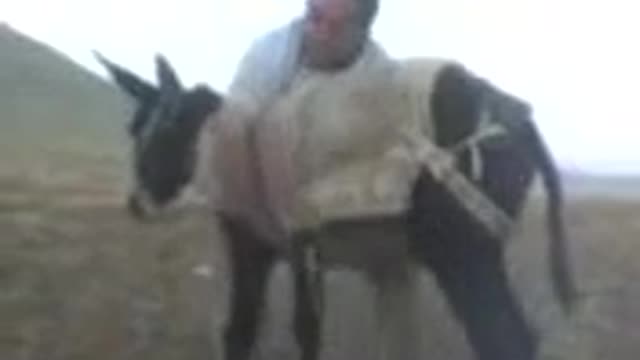 man vs donkey