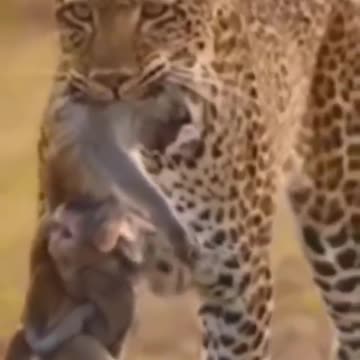 😢😢😢This child does not even know that his mother is dead.😭😭