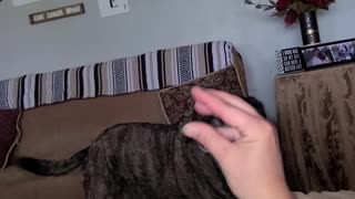 Do you have to do pee pee and poopie?