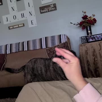 Do you have to do pee pee and poopie?