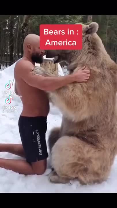 Bears in America vs Russia