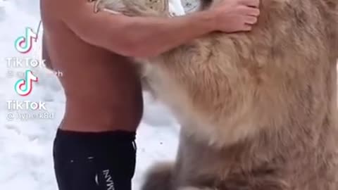 Bears in America vs Russia