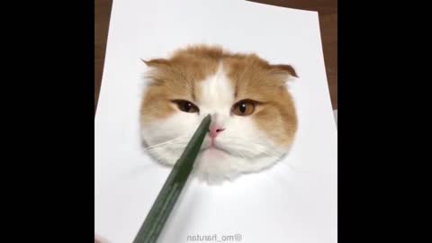 draw a cat head