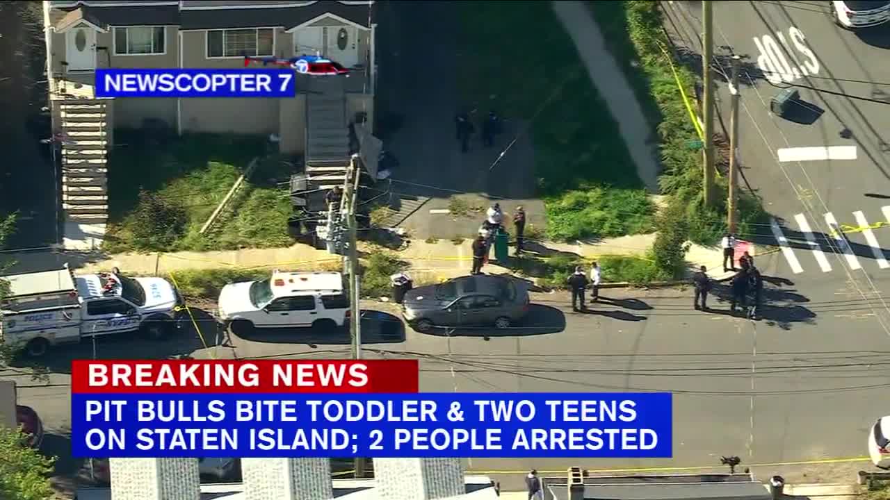 2 teens, toddler attacked by pit bulls on Staten Island