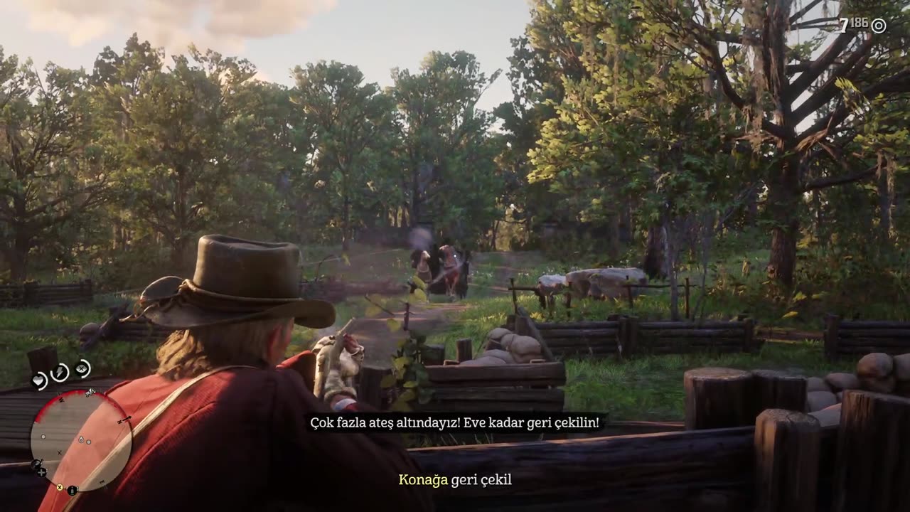 Red Dead Redemption 2 Gameplay