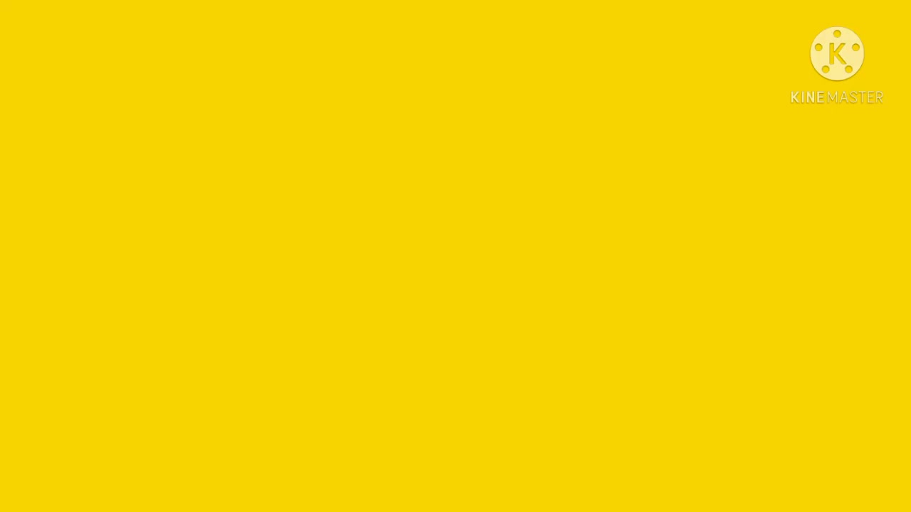 Cooking up Street Foods