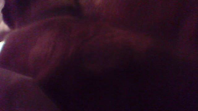 puchies sleeping agian